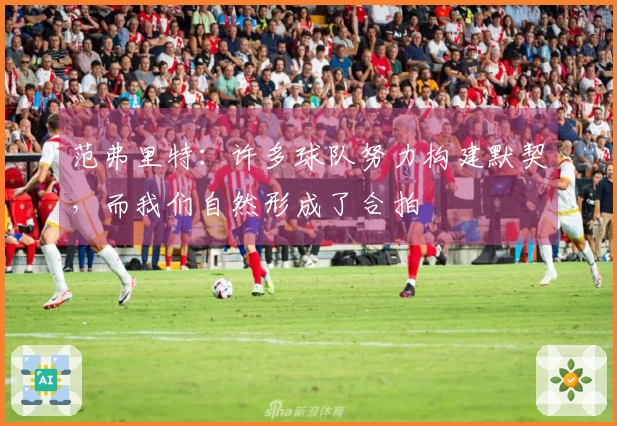 范弗里特：许多球队努力构建默契，而我们自然形成了合拍